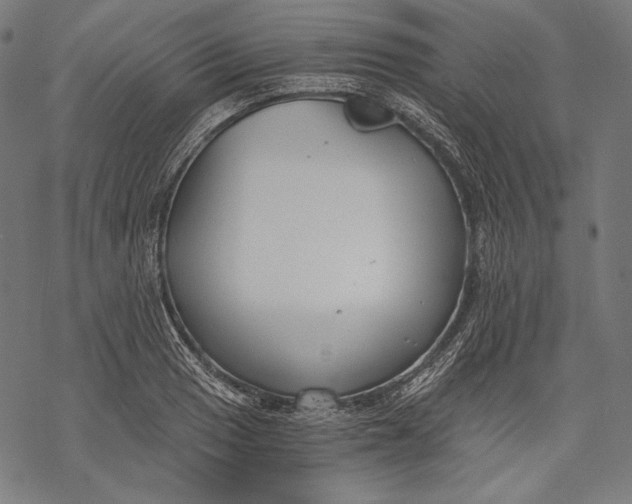 X0000068311033200605051525