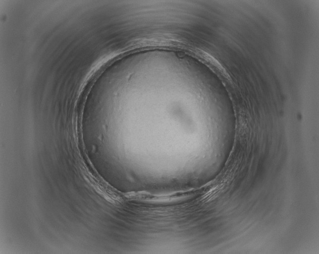 X0000068311035200605051525