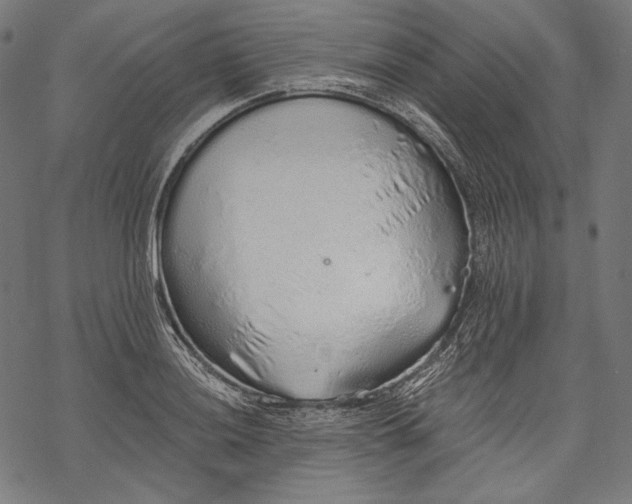 X0000068311036200605051525