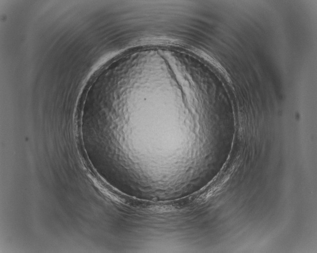 X0000068311037200605051525