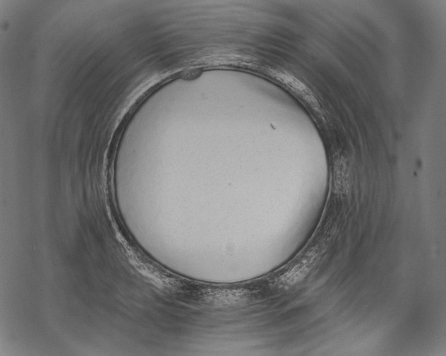 X0000068311039200605051526