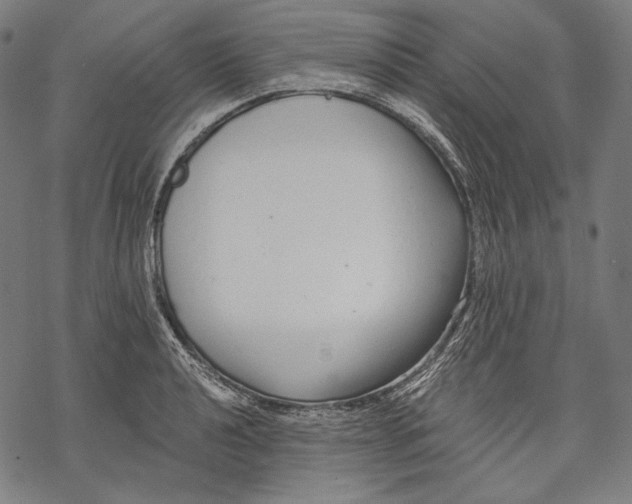 X0000068311040200605051526