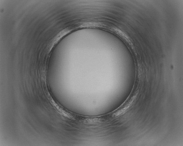 X0000068311041200605051526