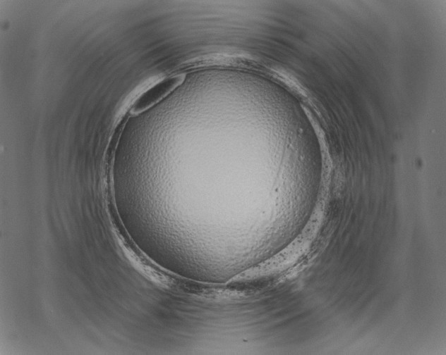 X0000068311042200605051526