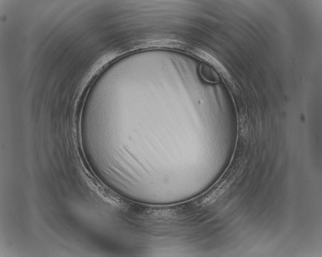 X0000068311043200605051526