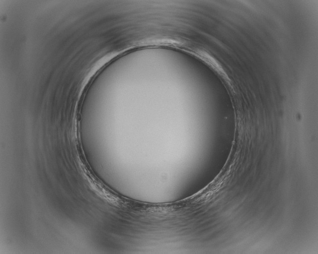 X0000068311044200605051526