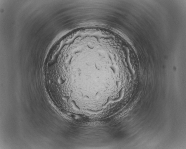 X0000068311045200605051526