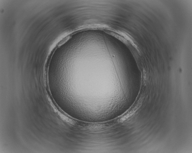 X0000068311046200605051526