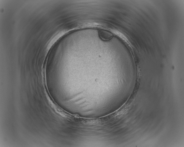 X0000068311047200605051526