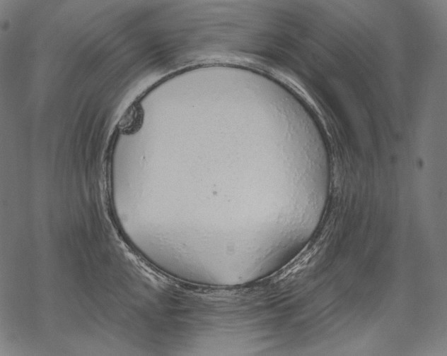 X0000068311048200605051526