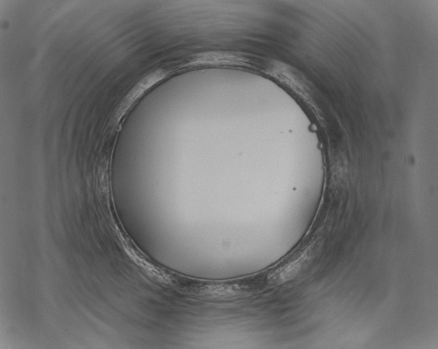 X0000068311049200605051526