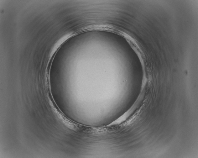 X0000068311050200605051526