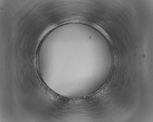 X0000068311051200605051526