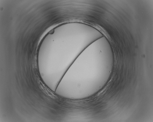 X0000068311052200605051526