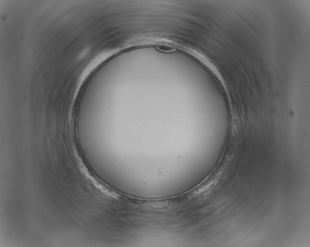 X0000068311053200605051526