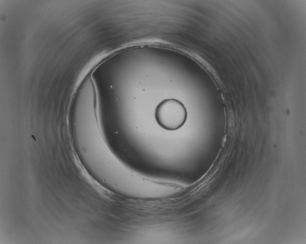 X0000068311054200605051526