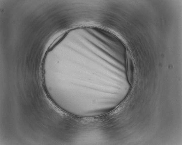 X0000068311056200605051526