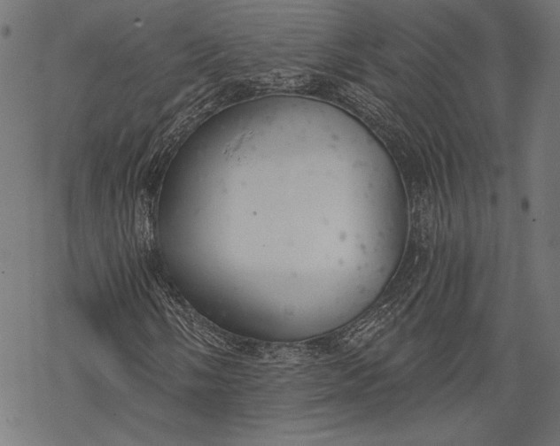 X0000068311058200605051525