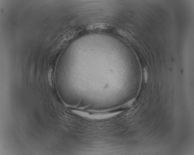 X0000068311059200605051525