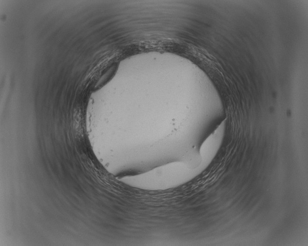 X0000068311060200605051525