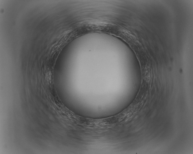 X0000068311061200605051525