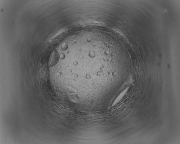 X0000068311063200605051525