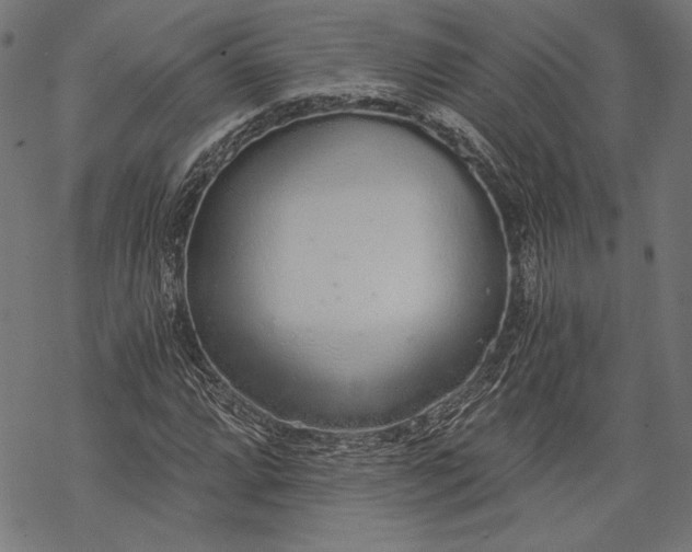 X0000068311064200605051525