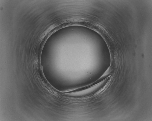 X0000068311065200605051525