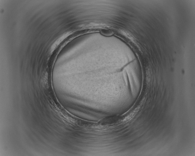 X0000068311066200605051525