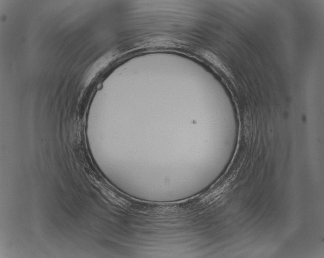 X0000068311067200605051525