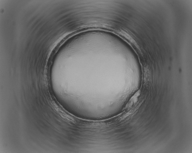 X0000068311068200605051525