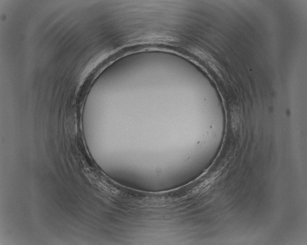 X0000068311069200605051525