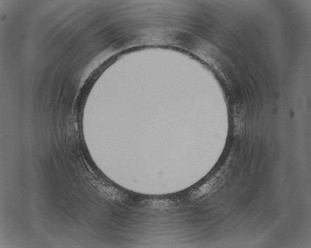 X0000068311070200605051525