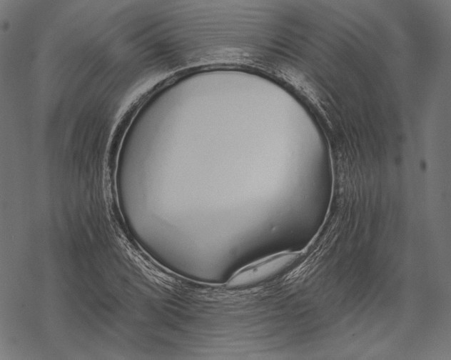 X0000068311072200605051525