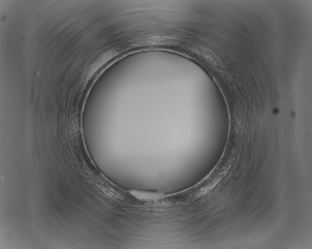 X0000068311073200605051525