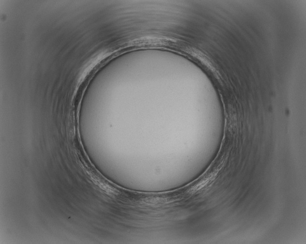 X0000068311075200605051525