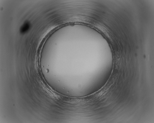 X0000068311076200605051525