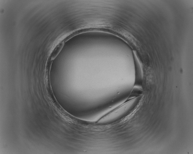 X0000068311077200605051525