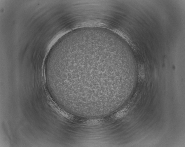 X0000068311078200605051525