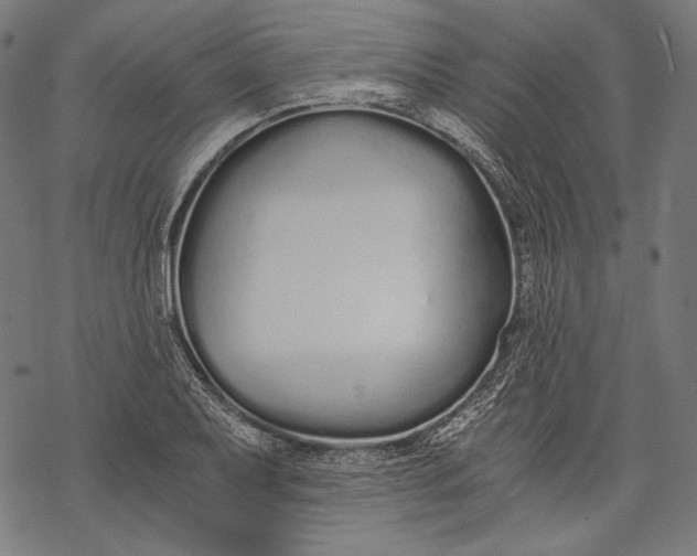 X0000068311079200605051525