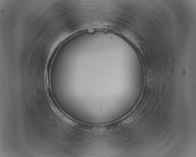 X0000068311080200605051525