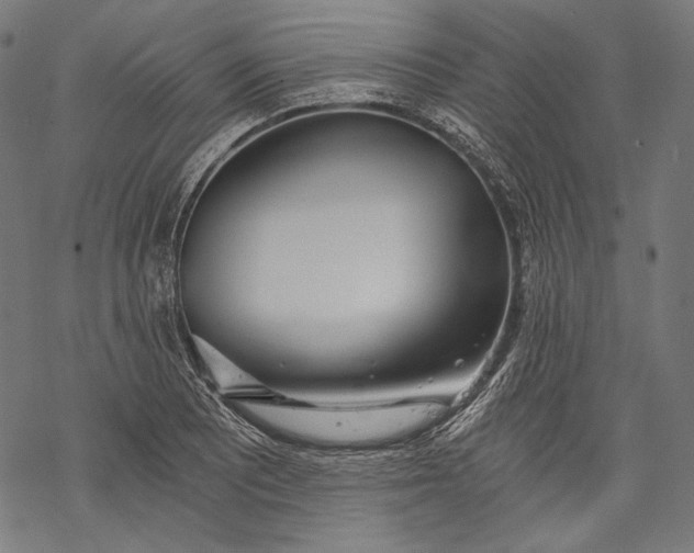 X0000068311081200605051525