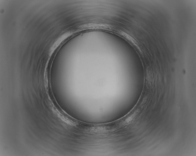 X0000068311082200605051525