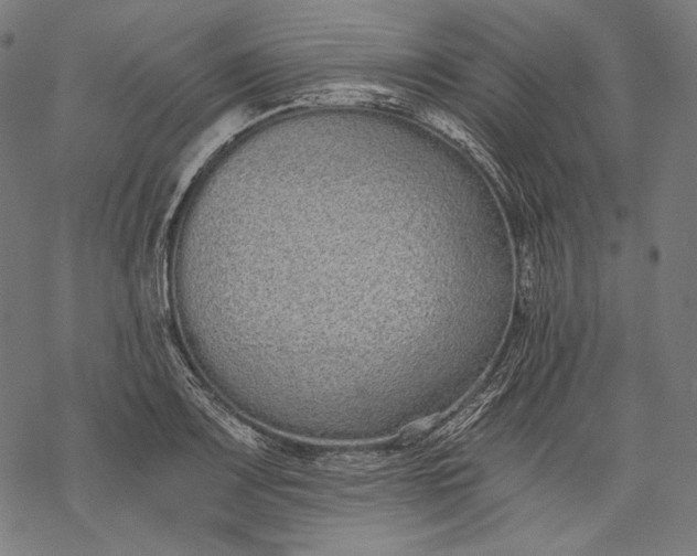 X0000068311083200605051525