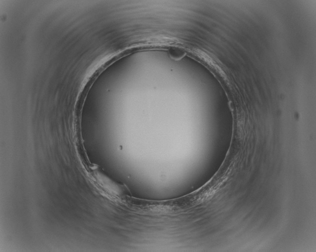 X0000068311085200605051525