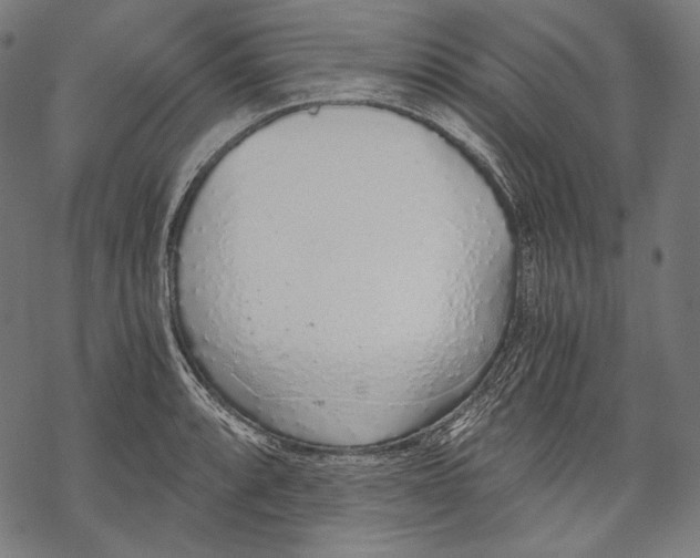 X0000068311088200605051525