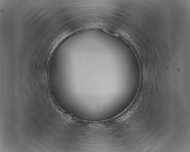 X0000068311089200605051524