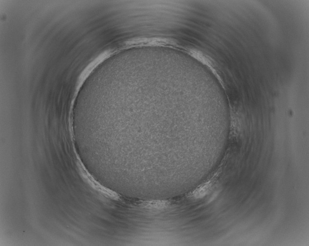 X0000068311090200605051524