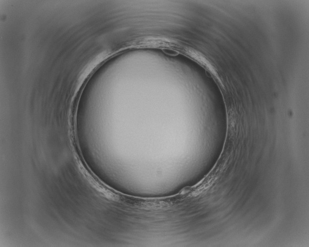 X0000068311091200605051524