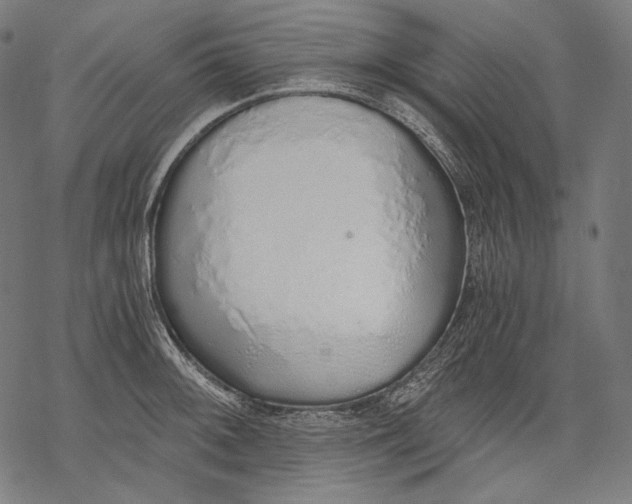 X0000068311092200605051524